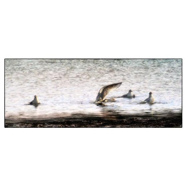 PHOTO84, CLUB, 84 , LUBERON